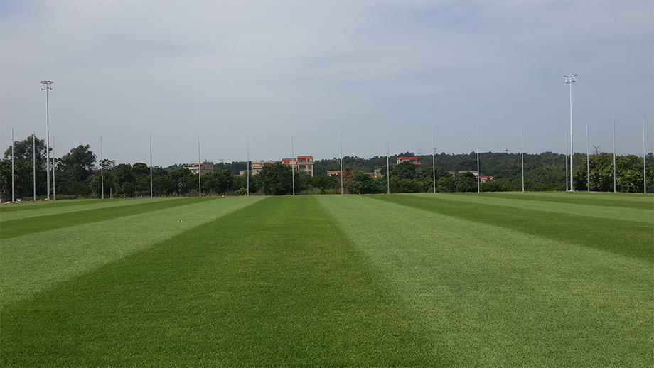 970.jpg