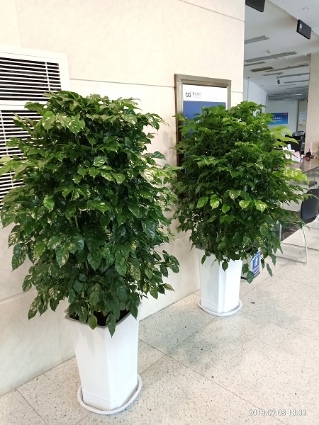 201908259304.jpg