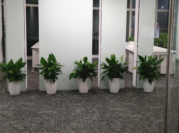 202011062347.jpg